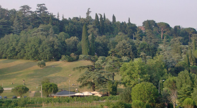 parcotozzoni