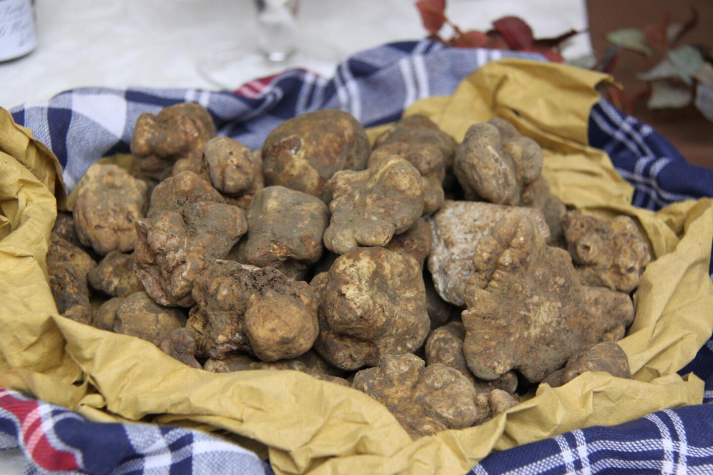 4 Sagre per 3 Colli: Sua Maestà il Tartufo