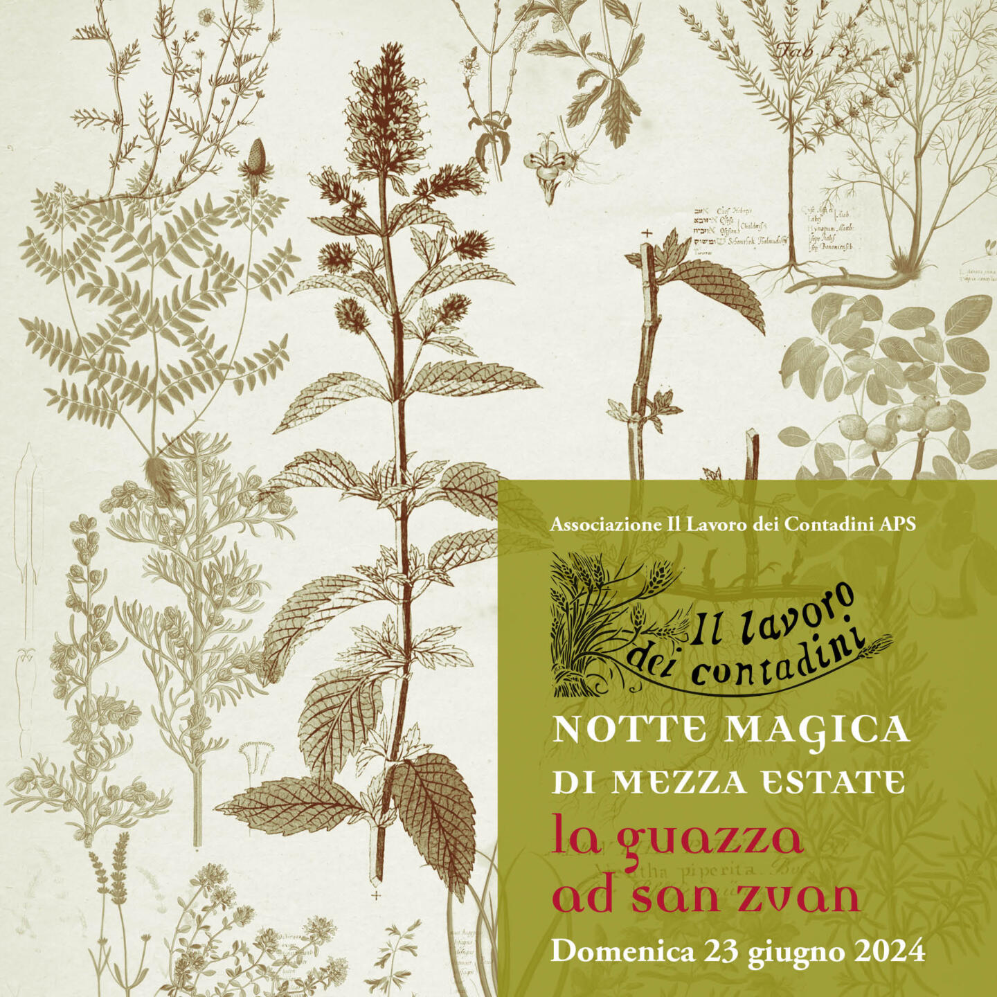 La Guazza ad San Zvan
