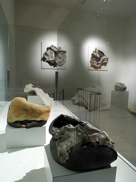Museo Carlo Zauli